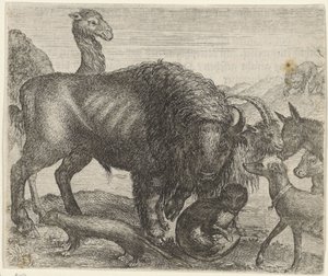 Fable du bison et des autres animaux - Egidius  Sadeler (II)