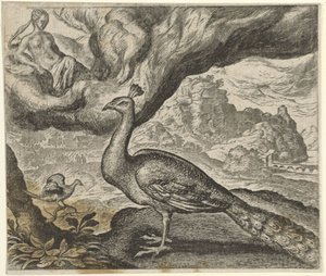 Fable du paon et du rossignol