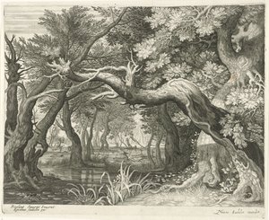 Chasse au cerf près d