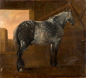 Un cheval gris pommelé