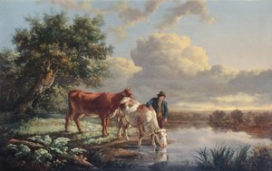 Bétail buvant au bord de la rivière