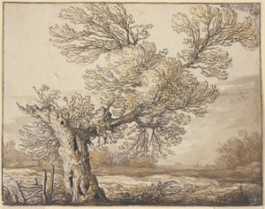  - Aelbert Cuyp