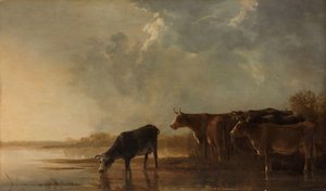 Paysage fluvial avec des vaches