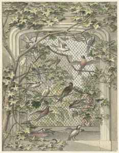 Volière avec quatorze oiseaux