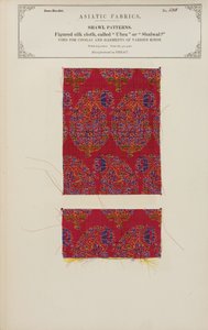 Échantillon de tissu en soie figurée fabriqué à Herat, de The Collection of the Textile Manufacturers of India, par John Forbes Watson, publié en 1866 - Afghan School