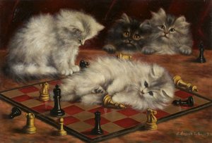 Chats avec un échiquier