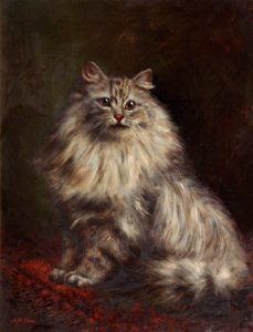 Chat persan, c.1908-20