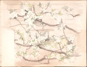 Carnet de croquis. Juillet 1899 - juin 1901 - Agnes Slott Møller