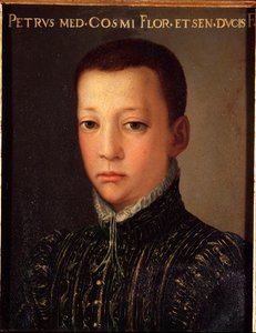 Portrait de Don Pietro de Médicis (1554-1604) jeune homme - Agnolo Bronzino