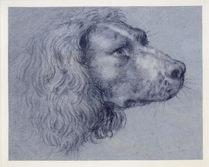  - Agostino Carracci