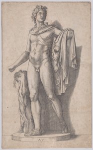 Apollon, vers 1514-1536