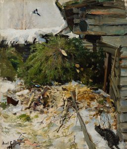 Des épicéas dans une cour de ferme - Akseli Gallen-Kallela