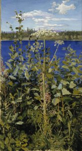 Angélique sauvage - Akseli Gallen-Kallela