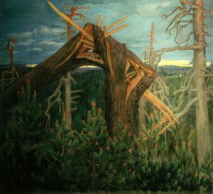 La mâchoire cassée - Akseli Valdemar Gallen Kallela