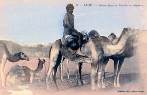 Serere, le Sahel, Sénégal, 20e siècle