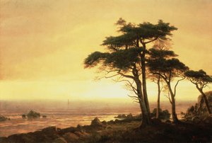 Côte californienne