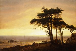 Côte californienne