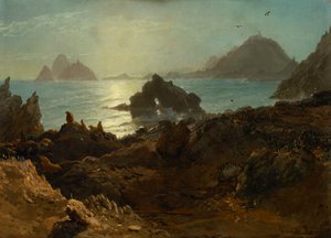 Îles Farallon, océan Pacifique, Californie - Albert Bierstadt