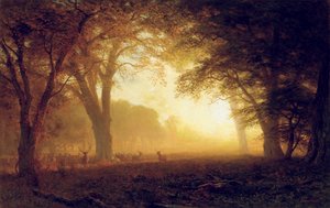Lumière dorée de Californie - Albert Bierstadt