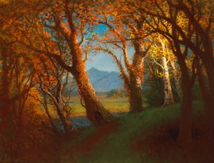 Coucher de soleil dans le territoire du Nebraska - Albert Bierstadt