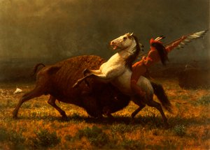 Le Dernier des bisons, vers 1888