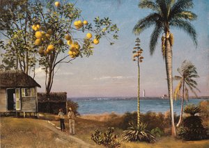 Scène tropicale - Albert Bierstadt