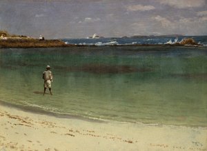 Scène de la côte des Antilles, vers 1880-93 (huile sur papier montée sur panneau de fibres) - Albert Bierstadt