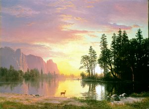 Vallée de Yosemite