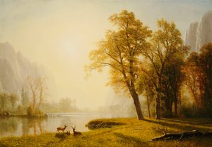 Vallée de Yosemite