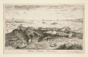 Astacus fluriatilis. L - Albert Flamen