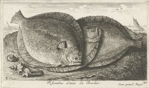 Trois poissons sur la plage