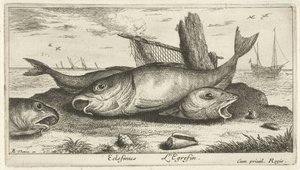 Trois églefins sur la plage (Poissons de mer)