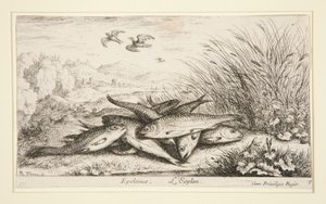 Epelanus, L - Albert Flamen