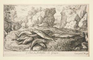 Gabius ou goujon - Albert Flamen