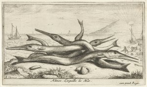 Poissons sur la plage