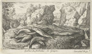 Goujons sur une rive (Poissons et autres animaux marins - eau douce deuxième série) - Albert Flamen