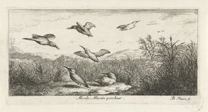 Paysage avec martins-pêcheurs (Alcedo; Martin-pescheur, Vogelboek, Livre d