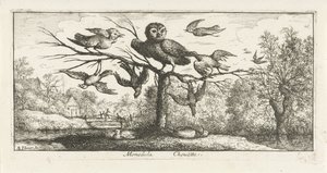 Paysage avec chouette entre autres oiseaux