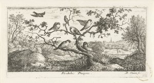 Paysage avec bécassines - Albert Flamen