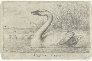 Paysage avec cygne - Albert Flamen