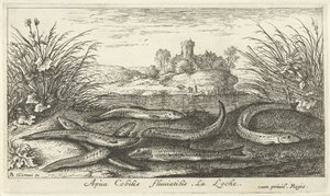 Goujons sur une rive - Albert Flamen