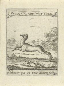 Cerf sautant