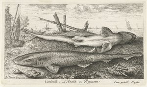 Deux roussettes sur la plage - Albert Flamen