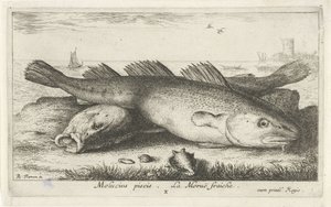 Deux morues sur la plage (Poissons de mer)