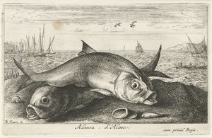 Deux aloses sur la plage (Poissons de mer) - Albert Flamen
