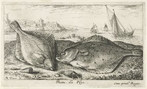 Deux poissons plats sur la plage (Poissons de mer)
