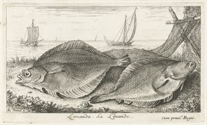 Deux poissons sur la plage