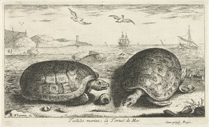 Deux tortues sur la plage - Albert Flamen