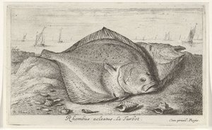 Deux turbots sur la plage - Albert Flamen