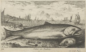 Deux saumons sur la plage (Vissen en andere zeedieren - zoutwater eerste reeks, Diverses Especes de Poissons de mer)
